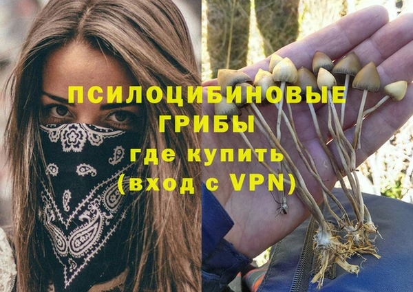 гидропоника Алексеевка